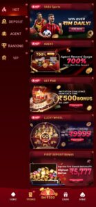 Boom79 Online Gaming App – Play Smart, Win Big 2
